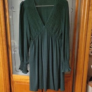 Hunter Green Dress Worn Twice